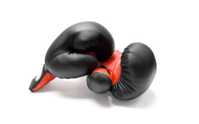 Everlast Pro Style Training Gloves
